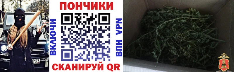 МАРИХУАНА гибрид  Купить где  Лесной 